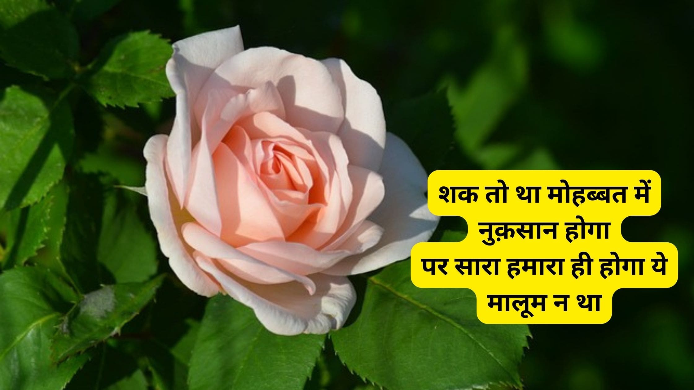 Shayari for Beautiful Girl